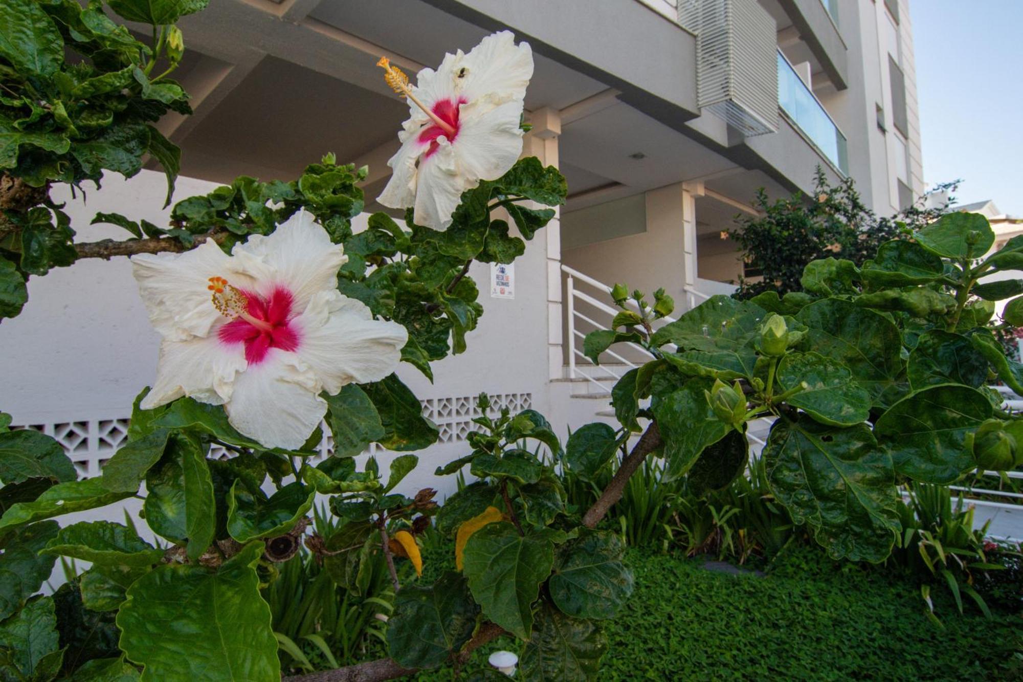 Ferienwohnung Localizacao Perfeita No Novo Campeche P473 Florianópolis Exterior foto